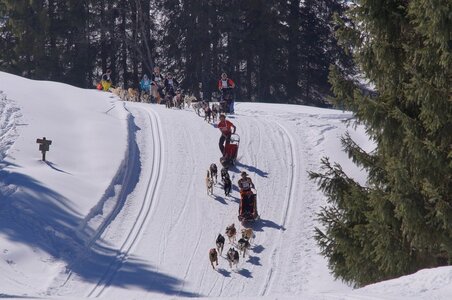 La Pesse 2014 Course de chiens de traineau (vendredi 7 Samedi 8/03/2014), DSC05131