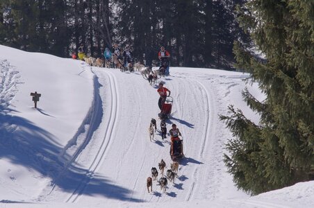 La Pesse 2014 Course de chiens de traineau (vendredi 7 Samedi 8/03/2014), DSC05133
