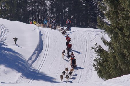 La Pesse 2014 Course de chiens de traineau (vendredi 7 Samedi 8/03/2014), DSC05134