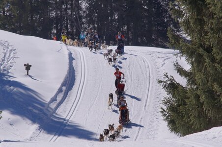La Pesse 2014 Course de chiens de traineau (vendredi 7 Samedi 8/03/2014), DSC05137
