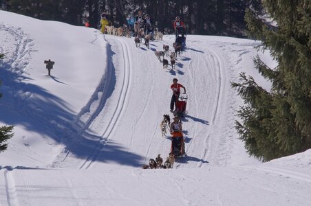 La Pesse 2014 Course de chiens de traineau (vendredi 7 Samedi 8/03/2014), DSC05140