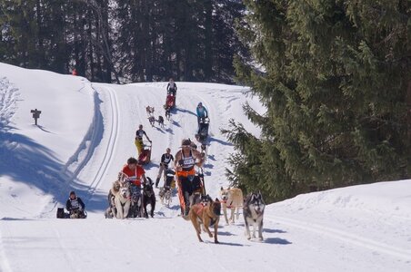 La Pesse 2014 Course de chiens de traineau (vendredi 7 Samedi 8/03/2014), DSC05156