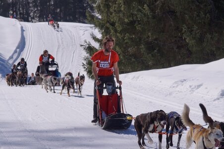 La Pesse 2014 Course de chiens de traineau (vendredi 7 Samedi 8/03/2014), DSC05167