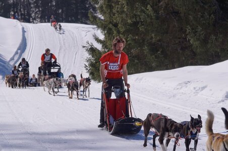 La Pesse 2014 Course de chiens de traineau (vendredi 7 Samedi 8/03/2014), DSC05168