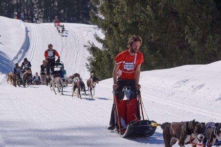 La Pesse 2014 Course de chiens de traineau (vendredi 7 Samedi 8/03/2014), DSC05170