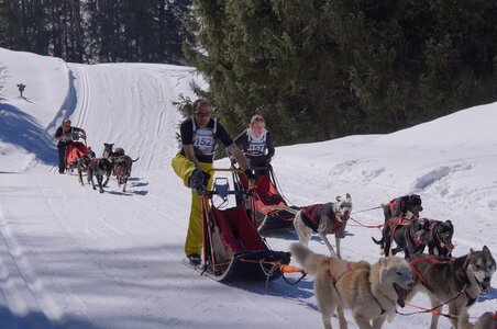 La Pesse 2014 Course de chiens de traineau (vendredi 7 Samedi 8/03/2014), DSC05186