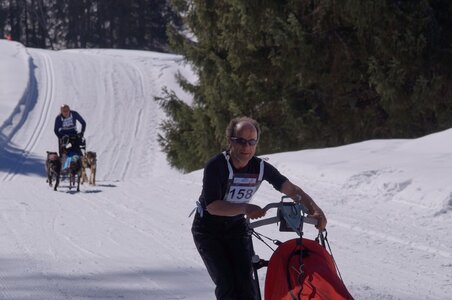La Pesse 2014 Course de chiens de traineau (vendredi 7 Samedi 8/03/2014), DSC05196