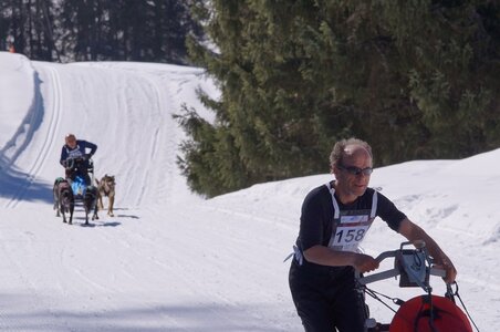 La Pesse 2014 Course de chiens de traineau (vendredi 7 Samedi 8/03/2014), DSC05198