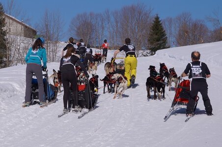 La Pesse 2014 Course de chiens de traineau (vendredi 7 Samedi 8/03/2014), DSC05201