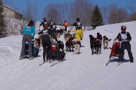 La Pesse 2014 Course de chiens de traineau (vendredi 7 Samedi 8/03/2014), DSC05203