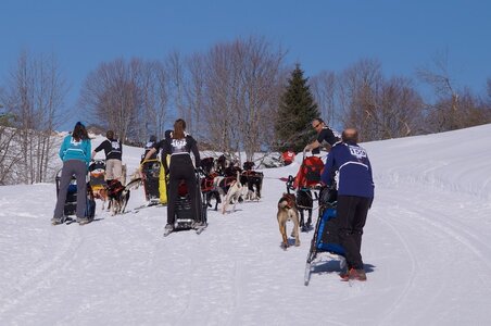 La Pesse 2014 Course de chiens de traineau (vendredi 7 Samedi 8/03/2014), DSC05204