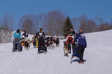 La Pesse 2014 Course de chiens de traineau (vendredi 7 Samedi 8/03/2014), DSC05205