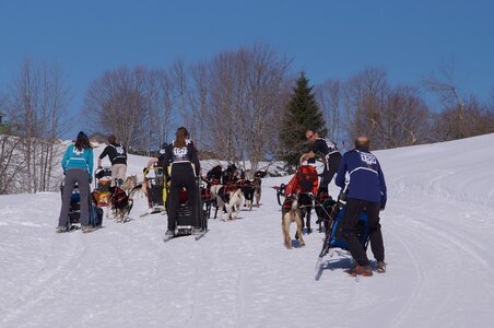 La Pesse 2014 Course de chiens de traineau (vendredi 7 Samedi 8/03/2014), DSC05206