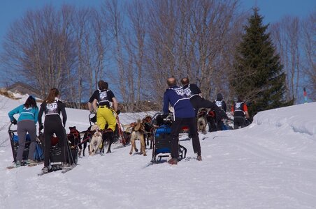 La Pesse 2014 Course de chiens de traineau (vendredi 7 Samedi 8/03/2014), DSC05208