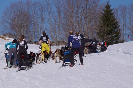 La Pesse 2014 Course de chiens de traineau (vendredi 7 Samedi 8/03/2014), DSC05209