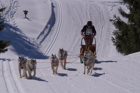 La Pesse 2014 Course de chiens de traineau (vendredi 7 Samedi 8/03/2014), DSC05223