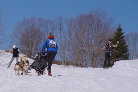 La Pesse 2014 Course de chiens de traineau (vendredi 7 Samedi 8/03/2014), DSC05270
