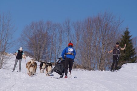 La Pesse 2014 Course de chiens de traineau (vendredi 7 Samedi 8/03/2014), DSC05271