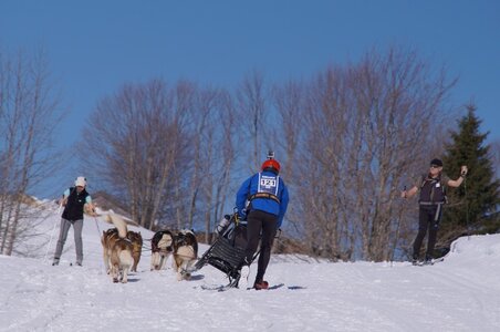 La Pesse 2014 Course de chiens de traineau (vendredi 7 Samedi 8/03/2014), DSC05272