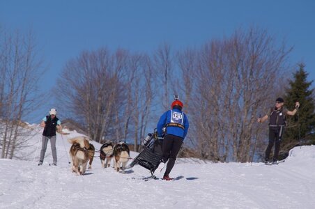 La Pesse 2014 Course de chiens de traineau (vendredi 7 Samedi 8/03/2014), DSC05273