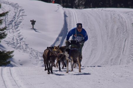 La Pesse 2014 Course de chiens de traineau (vendredi 7 Samedi 8/03/2014), DSC05284