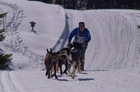 La Pesse 2014 Course de chiens de traineau (vendredi 7 Samedi 8/03/2014), DSC05285