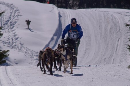 La Pesse 2014 Course de chiens de traineau (vendredi 7 Samedi 8/03/2014), DSC05286