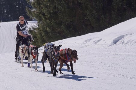 La Pesse 2014 Course de chiens de traineau (vendredi 7 Samedi 8/03/2014), DSC05291