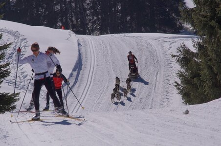 La Pesse 2014 Course de chiens de traineau (vendredi 7 Samedi 8/03/2014), DSC05316