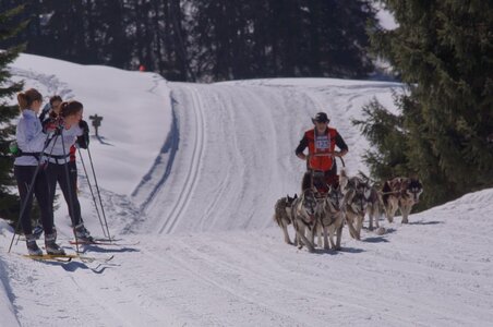 La Pesse 2014 Course de chiens de traineau (vendredi 7 Samedi 8/03/2014), DSC05319