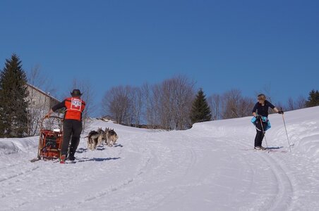 La Pesse 2014 Course de chiens de traineau (vendredi 7 Samedi 8/03/2014), DSC05324