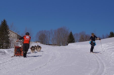 La Pesse 2014 Course de chiens de traineau (vendredi 7 Samedi 8/03/2014), DSC05325