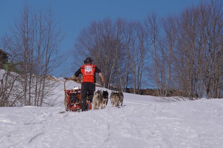 La Pesse 2014 Course de chiens de traineau (vendredi 7 Samedi 8/03/2014), DSC05326