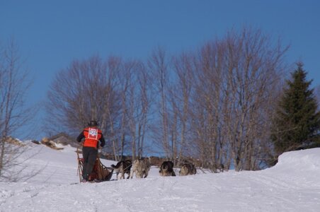 La Pesse 2014 Course de chiens de traineau (vendredi 7 Samedi 8/03/2014), DSC05328