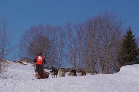 La Pesse 2014 Course de chiens de traineau (vendredi 7 Samedi 8/03/2014), DSC05329
