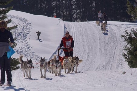 La Pesse 2014 Course de chiens de traineau (vendredi 7 Samedi 8/03/2014), DSC05341