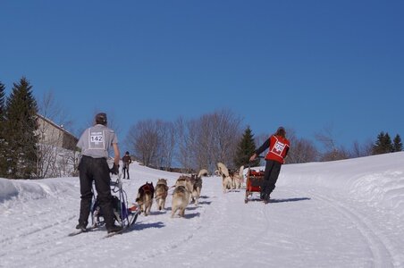 La Pesse 2014 Course de chiens de traineau (vendredi 7 Samedi 8/03/2014), DSC05353
