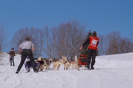La Pesse 2014 Course de chiens de traineau (vendredi 7 Samedi 8/03/2014), DSC05356