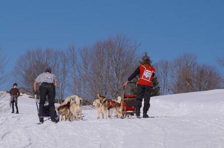 La Pesse 2014 Course de chiens de traineau (vendredi 7 Samedi 8/03/2014), DSC05358