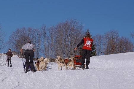 La Pesse 2014 Course de chiens de traineau (vendredi 7 Samedi 8/03/2014), DSC05359