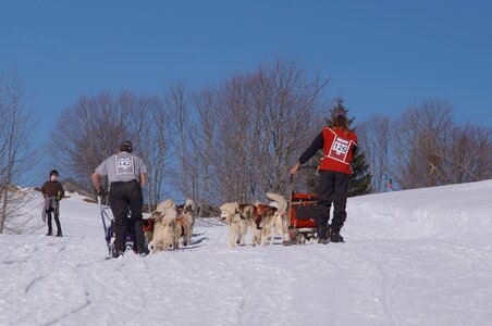 La Pesse 2014 Course de chiens de traineau (vendredi 7 Samedi 8/03/2014), DSC05360