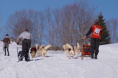 La Pesse 2014 Course de chiens de traineau (vendredi 7 Samedi 8/03/2014), DSC05361