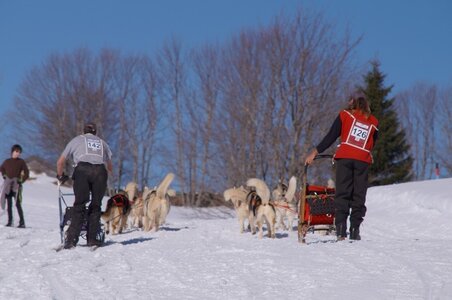 La Pesse 2014 Course de chiens de traineau (vendredi 7 Samedi 8/03/2014), DSC05362