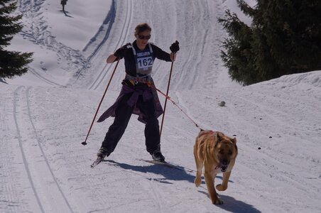 La Pesse 2014 Course de chiens de traineau (vendredi 7 Samedi 8/03/2014), DSC05369