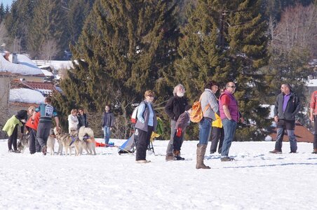 La Pesse 2014 Course de chiens de traineau (vendredi 7 Samedi 8/03/2014), DSC05371