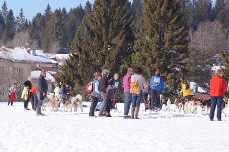 La Pesse 2014 Course de chiens de traineau (vendredi 7 Samedi 8/03/2014), DSC05374