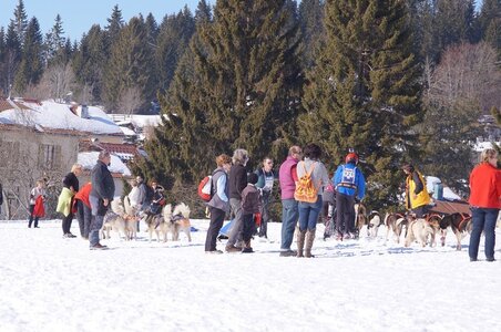 La Pesse 2014 Course de chiens de traineau (vendredi 7 Samedi 8/03/2014), DSC05375
