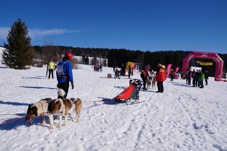 La Pesse 2014 Course de chiens de traineau (vendredi 7 Samedi 8/03/2014), DSC05380