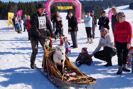 La Pesse 2014 Course de chiens de traineau (vendredi 7 Samedi 8/03/2014), DSC05399