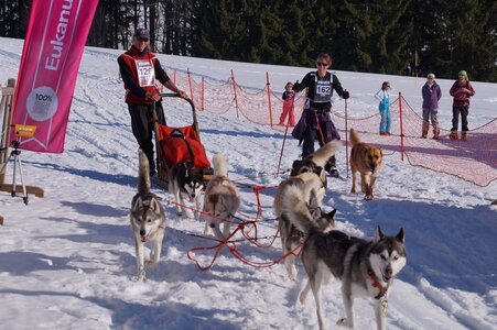 La Pesse 2014 Course de chiens de traineau (vendredi 7 Samedi 8/03/2014), DSC05406